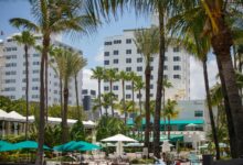 a group of palm trees in front of a hotel