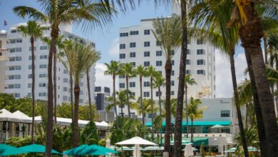a group of palm trees in front of a hotel